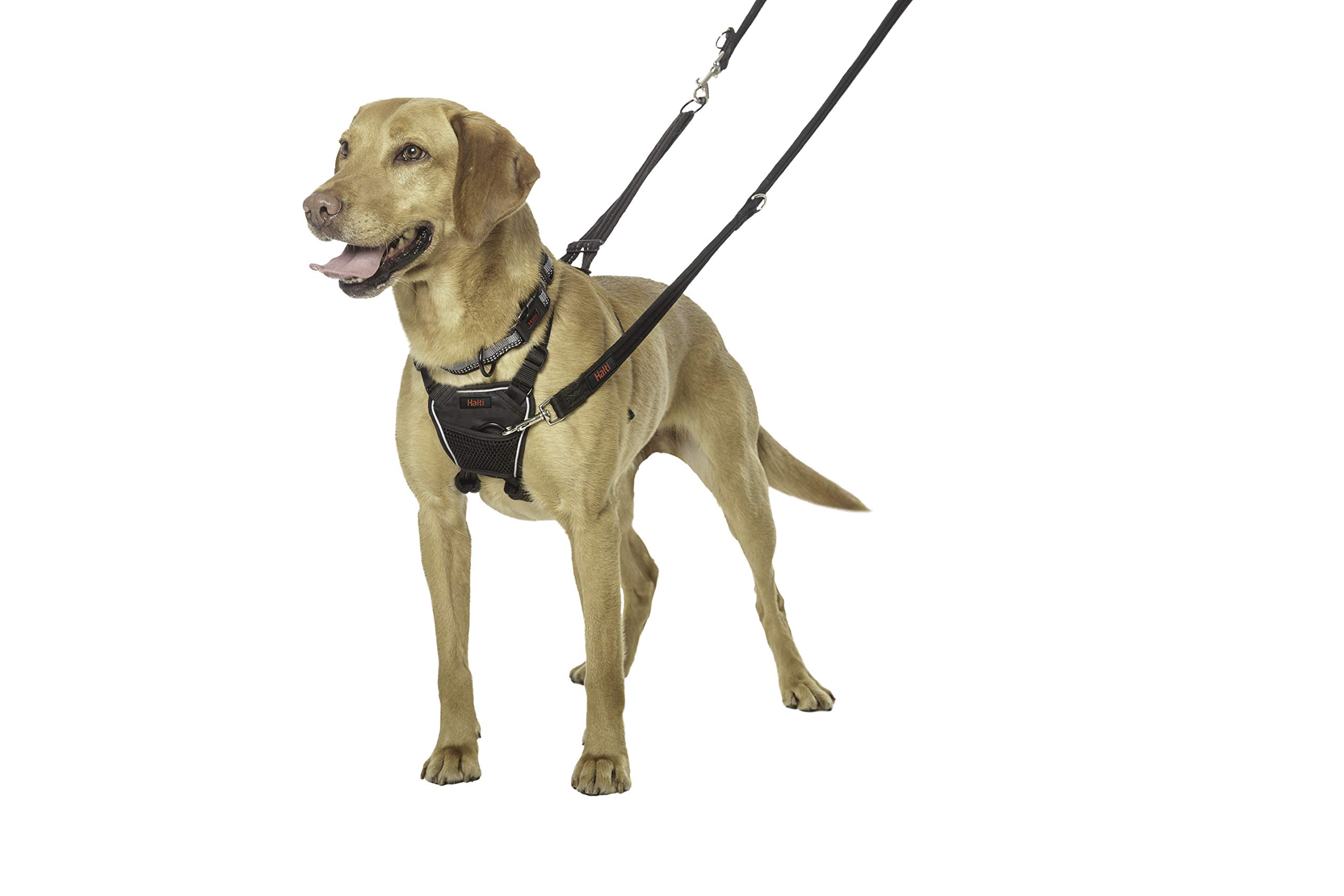 waist dog lead for 2 dogs