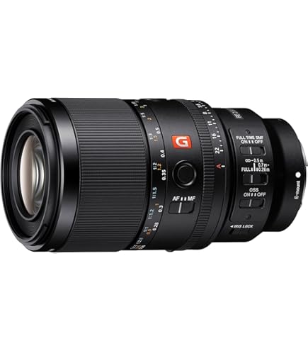 Sony SEL90M28G FE 90mm f/2.8-22 Macro G OSS Standard-Prime Lens