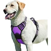 Eagloo Dog Harness for Large Dogs Anti-Pull Adjustable with 2 Clips