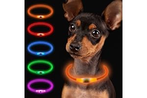 Larkumio Leuchthalsband Hund Aufladbar LED Hundehalsband Leuchtend, Halsband Hund mit Einstellbarer Länge für Kleine Große Hunde Katze, Welpenhalsband Dog Collar Wasserdicht mit 3 Leuchtmodi, Orange