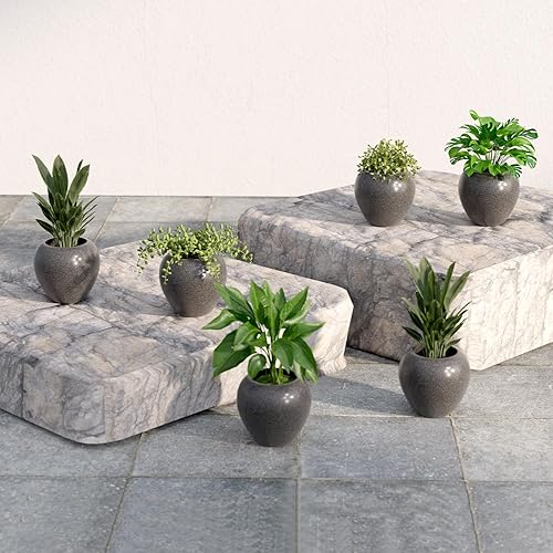 Lifelong Set of 6 Home Decor for Living Room & Balcony | 6 Inch Flower Pot | Decorative Indoor & Outdoor for Plants | Gamla, Pot Stand for Home & Garden Decoration | Ideal for Small Plants