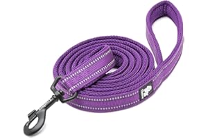 TRUELOVE TRUE LOVE Dog Leash Puppy Walking Lead Pet Chain Padded Reflective Night Safe Rope Length 110cm TLL2111 (Medium, Purple)