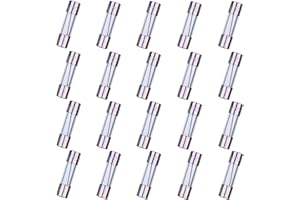 HUAREW F20AL250V 20 pezzi Fusibile in vetro ad azione rapida 5x20mm Fusibile ritardato 20A 250V 0,2x0,78 pollici (confezione da 20 pezzi)