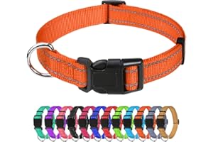 TagMe Reflective Nylon Dog Collars, Adjustable Classic Dog Collar with Quick Release Buckle for Small Dogs, Orange, 2.0 cm Width