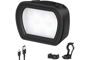 NEEWER Basics Videolicht, magnetisches Selfie Light, Kompatibel mit DJI OSMO Pocket 3 Gimbal Camera Creator Combo, USB C wiederaufladbare Mini LED Videoleuchte Fotolicht für Video Vlog, M21 Schwarz