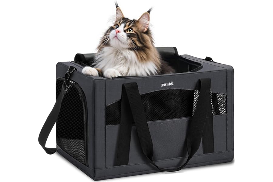 pecute Cat Carrier XL, Extra Large Stable Cat Carrier Handbag, Portable Dog Carrier, Breathable Mesh Fabric Bag for Pets, Cat Travel Carrier Pet Carrier Suitable for Both Long And Short Trip Dark Grey
