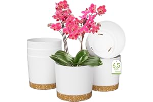 ZMTECH Pots de Fleurs de 16,5cm, Jardinières Modernes avec Trous de Drainage et Soucoupe Détachable, Pots de Fleurs en Plastique pour Plantes d'Intérieur et de Jardin (Blanc, Lot de 6)