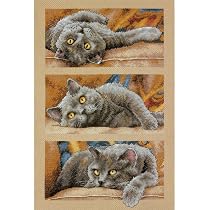 Kit Point De Croix Compté "Gingembre Le Chat" - Neuf Avec Tapis Inclus, Thème Chats