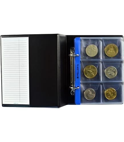 PELLER'S. Feuilles pour collection de pièces en étuis numismatiques en carton, 55mm X 55mm (pour classeur S). Paquet de 10 pièces PELLER'S. Feuilles pour collection de pièces en étuis numismatiques en carton, 55mm X 55mm (pour classeur S). Paquet de 10 pièces