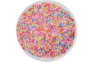 ZHIHENG 100g Resin Flatbacks Slime Accessories Clay Sprinkles Decoration for Slime Charms Filler DIY Slime Supplies Fake Candy Chocolate Cake Dessert Mud Particle Scrapbook Phone Case (needle5)
