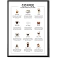 State Media Vision Your Essential Guide Poster - 12 Popular Coffee Types With Descriptions - Gift for Coffee Lovers & Baristas (A4 Print Only)