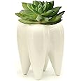 MONMOB Ceramic Tooth Shaped Pen Pencil Toothbrush Holder Pot Succulent Plant Pot Home Office School Dentists Gift Ideal Gifts for Women, Mom or Birthdays