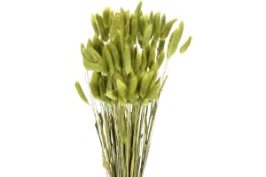 QUARKZMAN 120 st naturlig kaninsvans torkade blommor 43 cm mini pampas gräs för blomsterdekorationer bröllop jul, grön frukt