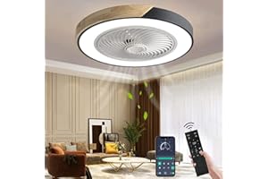 Wildcat Ceiling Fan with Lighting, LED Ceiling Light with Fan Remote Control Fan Ceiling Light Invisible Quiet Ceiling Lamp for Dining Room Living Room Bedroom [Energy Class F]
