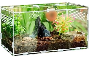 Keweni Acryl Terrarium Reptilien Box für Spinnenechsen, Skorpion, Tausendfüßler, Gehörnter Frosch, Käfer (30CM*20CM*15CM)