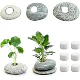 LIULINY 6 Pieces Opening 2 cm Plant Stand Aquarium Stone | Aquarium Water Plants Fixed Ring Stone and Cotton Transplanted, We