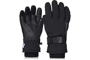 DEX FIT Cold Proof Warm Winter Outdoor Gloves WG201, Double Insulated Windproof, Comfortable Snug Finger Fit, Grip, Touchscreen, Durable Waterproof, Washable, Dexterity