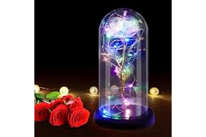 RANJIMA Rosa Bella e la Bestia, Regalo per San Valentine per Lei, Rosa Stabilizzata Vera in Vetro Rosa Eterna con Luci LED, Regali Valentine per Donna Fidanzata Mamma Moglie Compleanno Anniversario