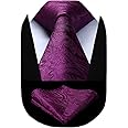 HISDERN Solid Paisley Tie for Men Handkerchief Woven Classic Flroal Men's Necktie & Pocket Square Set Wedding