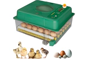 Plutohiker Brutautomat Vollautomatisch 36 Eier, Inkubator mit 5 Automatische Brutmodi, Brutmaschine mit Temperaturregelung, Feuchtigkeitsanzeige und Eierleuchter, für Hühner, Enten, Gänse und Tauben