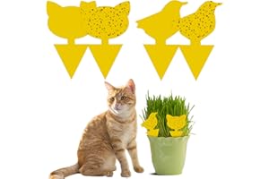 Fullsexy Fullsexy 60 Stück Plug-in-Fliegenfalle, klebrige Fallen, Pilzmückenvernichter, Tiermuster, ideale gelbe Teller für Topfpflanzen gegen Mücken, Blattläuse, Blattfliegen, Balkon, Garten, Innenbe