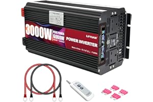 LVYUAN 3000W/6000W Power Inverter DC 24V to 240V AC Converter with 2 AC Sockets 1 USB, LCD Display and Wireless Remote Control