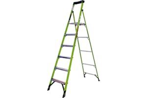 Little Giant échelles 15368en-001 Mightylite Échelle, Vert, 2,4 m