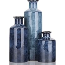 Torre & Tagus Andrea Vase en Verre soufflé à la Bouche pour décoration d' intérieur, Grand Vase pour Centre de Table, Salon, entrée, Chambre, Fait à la Main, Style côtier, Bleu, 35,6 cm Torre & Tagus Andrea Vase en Verre soufflé à la Bouche pour décoration d' intérieur, Grand Vase pour Centre de Table, Salon, entrée, Chambre, Fait à la Main, Style côtier, Bleu, 35,6 cm