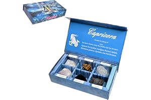 KACHVI Crystal Gifts - Pietre del Segno Zodiacale per completare Le Pietre della Nascita - Cristalli curativi Naturali con Oroscopo Confezione da 6 (Capricorn)