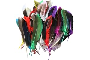 Vexquivera Pack of 50 Colourful Feathers for Crafts Feather for Crafts Craft Feathers Feathers for Hats Goose Feathers for DIY Dream Catcher Carnival Decorations/Hat/Vase/Mask, Fluffy & Soft