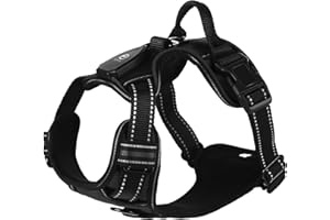 EYELEAF Lumineux Harnais Chien - Rechargeable Harnais Chien Anti Traction Harnais pour Chien avec LED à Changement de 3 Couleurs, Réfléchissant avec Attache Devant Harnais, Solide