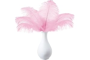 JOYRAY 12PCS Light Pink Ostrich Feathers 8-10inch Natural Ostrich Plume Set for Home Office Room Wall Table Vase Holiday Reception Décor Wedding Masquerade Mask Party Birthday Ornament Crafts DIY Decoration