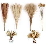 RyddeligHome 80pcs Arreglos de Flores Secas, Decoración de Hierba de Pampas, Decoración para Sala de Estar, Decoración Neutra