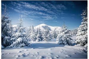 YongFoto 1,5x1m Winter Schnee Landschaft Fotografie Hintergrund Weihnachtsbaum Snowy Moutain Blauer Himmel Natur Landschaft Hintergrund Weihnachten Familie Party Portrait Foto Requisiten Vinyl