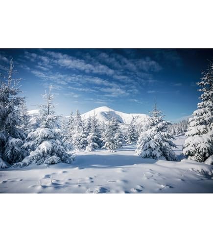 Renaiss 1.5x1m Schneelandschaft Kulisse Winterlandschaft Bergkiefer Baum Fotografie Hintergrund Weihnachtsfeier Dekoration Kinder Erwachsene Porträtfotografie Fotostudio Requisiten Vinyltapete