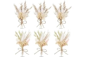 ELFINFI 6 Stück Trockenblumen Klein, Weiß Trockenblumen, Trockenblumenstrauß, Trockenblumen Strauß, Mini Trockenblumenstrauß für Bilderrahmen DIY Heim-Party und Hochzeitsdekoration