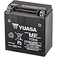 Yuasa YTX16-BS 12V 230 CCA Maintenance Free VRLA Motorbike Battery, Black