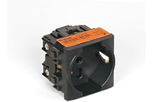 BTICINO SL4140/16F Presa Schuko Livinglight, Presa Elettrica da Muro Standard Tedesco e Italiano 10/16A, Alveoli Protetti, 2 Moduli, Colore Nero Antracite, Made in Italy