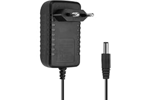 Snowtaros Caricabatterie 21V, Caricabatterie al Litio con Indicatore di Controllo per Motosega Elettrica a Batteria al Litio