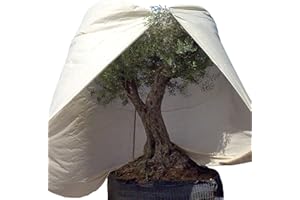 QEEROYO AFP Winterschutz Vlieshaube XXXL Mediterran, beige, H: 350cm, Ø 250cm, 70g/qm - Kübelpflanzensack sehr groß - Schutzhaube Pflanzen, Olive, Palmen Frostschutz / 2 Jutesäckchen gratis