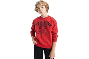 DeFacto Jungen B7822a8 Sweatshirt
