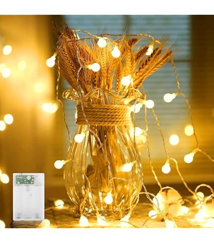 cshare Lichtsnoer op batterijen, voor buiten, 3 m, 20 leds, met timer, IP65 waterdicht, voor tuin, camping, Kerstmis, binnen- en buitendecoratie, warmwit