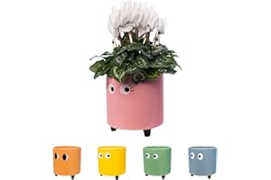 Fisura - Macetero Original con Diseño de Ojos. Macetero Decorativo Interior. Maceta de Cerámica Rosa para Flores y Suculentas. 13 x 12,5 cm.