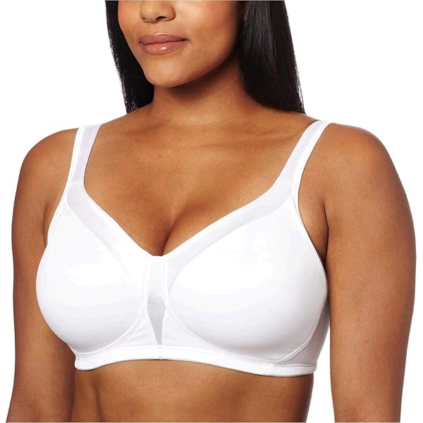 Anita Women's Wire Free Cotton Bra 5427 - Full Figure, Non-Padded, Pack Of 2 (White, 40D)