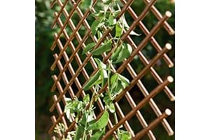 Catral 43040012 Treillis en Osier Extensible, 3 x 150 x 50 cm