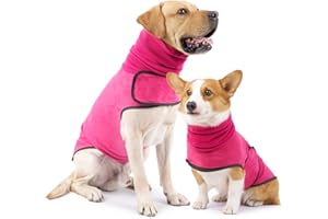HEYWEAN Cappotto Cane Giacca Invernale Animale da Compagnia Morbido Scamosciato Gilet Cucciolo Antivento Pullover Cane Dolcevita Caldo Cane Felpe Con Cappuccio per Cani Piccoli Medi Grandi