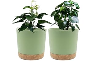 QCQHDU Bumentöpfe 2er Pack 16,5cm, Bumentöpfefür Zimmerpflanzen mit Entwässerungslöchern und abnehmbarem Boden,Untersetzer Modern Dekorativ für Garten Pflanzgefäße(Grün 16,5cm