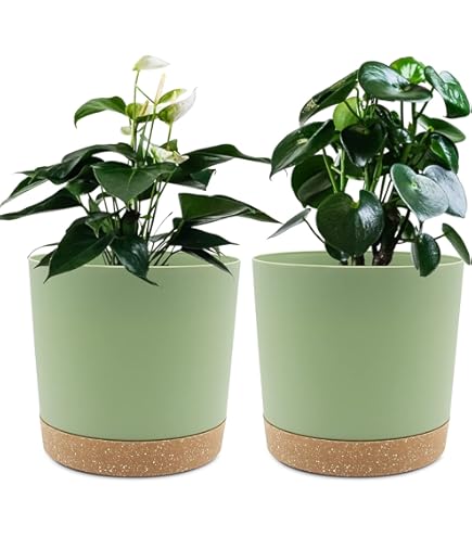 Genouillères Rembourrées McDavid Hex Pad - Paire, Noir, Taille X-Large, Pour Basket, Sans Strap