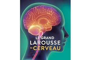Le Grand Larousse du cerveau