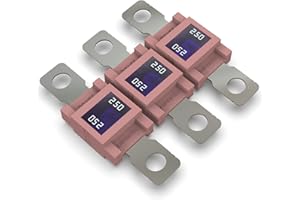 ‎AUPROTEC AUPROTEC Mega Hochstromsicherung Schraubsicherung 80A - 500A Auswahl: 250A Ampere rosa, 3 Stück